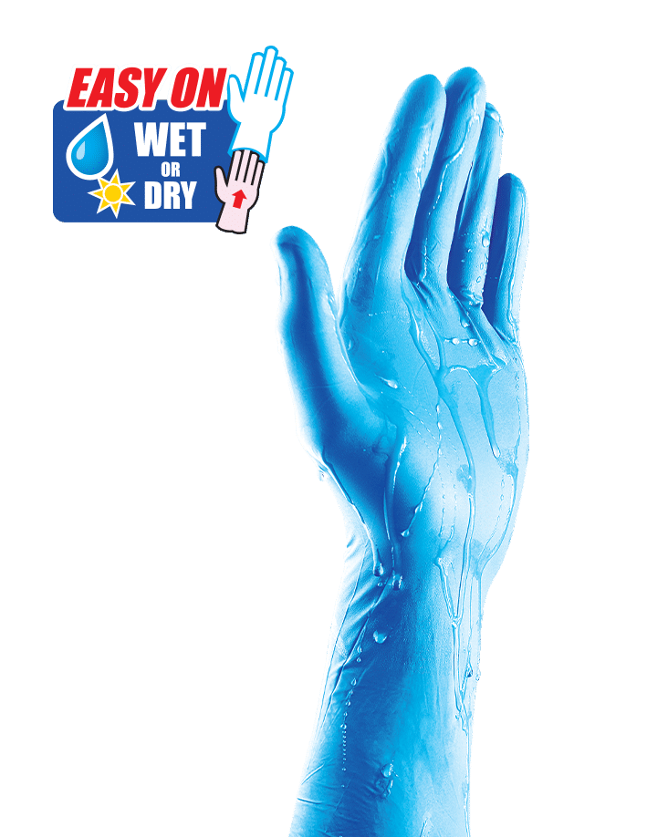Microlite® Expert Plus Nitrile Disposable Gloves The Glove Company
